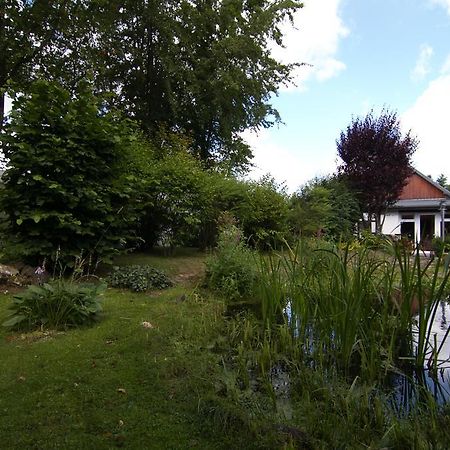Ferienhaus Wildblick Schleiden Εξωτερικό φωτογραφία